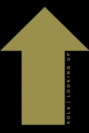 Looking Up Discount