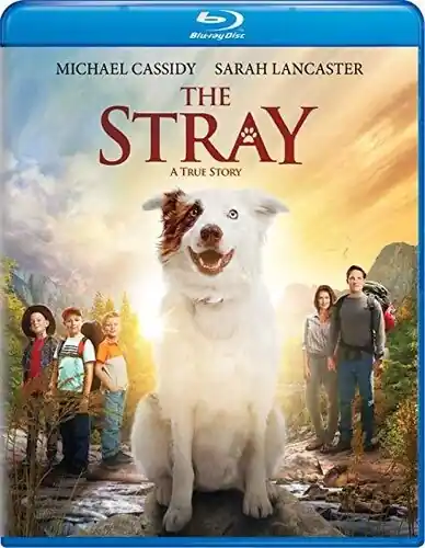 The Stray Hassle-Free Returns