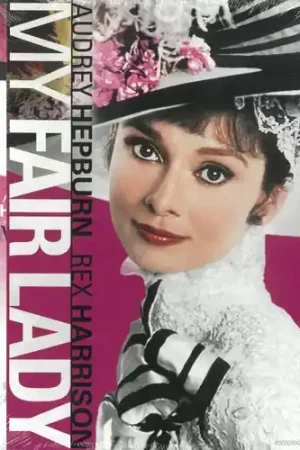 My Fair Lady Wholesale