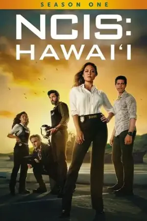 NCIS: Hawai'i: Season One Factory Price
