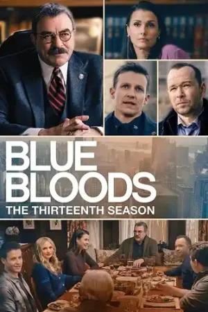 Limited Time Blue Bloods: The Thirteenth Season (6pc) / (Box)