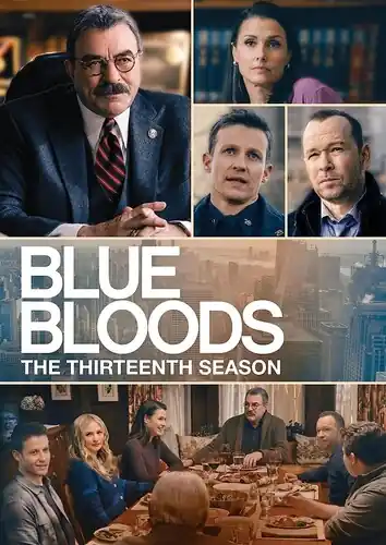 Limited Time Blue Bloods: The Thirteenth Season (6pc) / (Box)