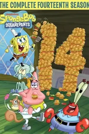 Flash Sale Spongebob Squarepants: Comp Fourteenth Season