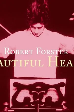 Direct From Factory Beautiful Hearts
