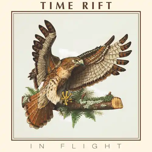Fan Favorite In Flight