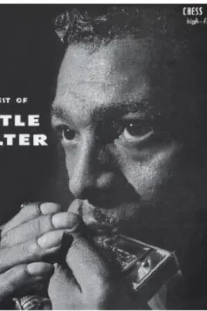 Warranty Included Best Of Little Walter (Bonus Track) (Jpn) [Remastered]