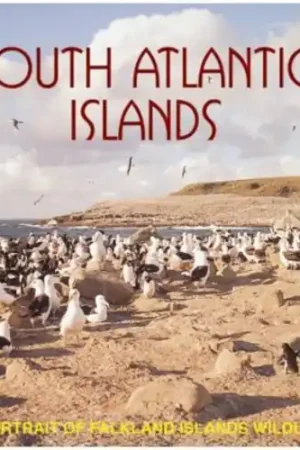 South Atlantic Islands: A Portrait Of Falkland Islands Wildlife Hassle-Free Returns