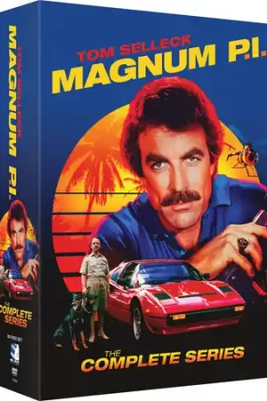 Special Discount Magnum P.I. The Complete Series (30pc) / (Box)