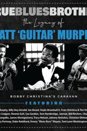 Bulk Order True Blues Brother: Legacy Of Matt 'guitar' / Var