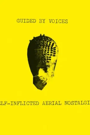 In Demand Self-Inflicted Aerial Nostalgia [Reissue]