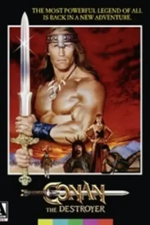 Conan The Destroyer / (4k Ltd Post Wb Pcrd) Special Offer