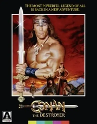 Conan The Destroyer / (4k Ltd Post Wb Pcrd) Special Offer