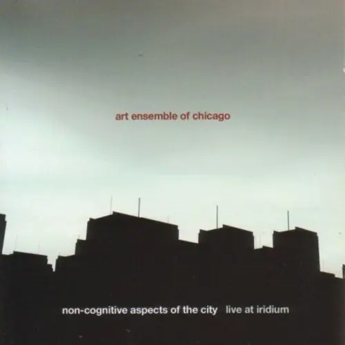 Time-Limited Non-Cognitive Aspects Of The City: Live At Iridium