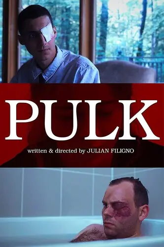 Pulk / (Mod) Limited Offer