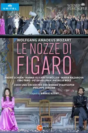 Le Nozze Di Figaro (2pc) Top Rated