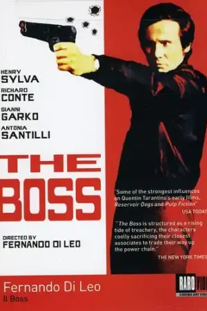 Limited Offer The Boss