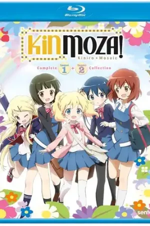 One Day Deal Kinmoza (4pc) / (Anam Sub)