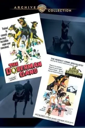 The Doberman Gang / The Daring Dobermans Professional Grade