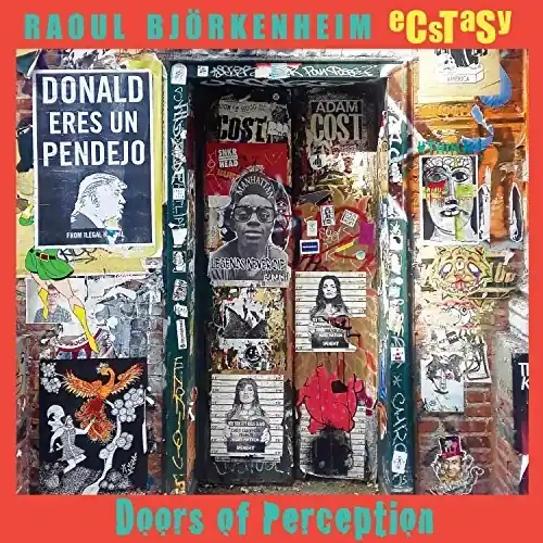 Doors Of Perception Shop Now