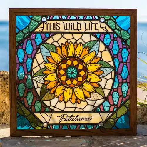 Petaluma One Day Deal