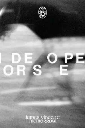 Holiday Sale Wide Open Horses [Colored Vinyl] (Gate) [180 Gram] (Wht)