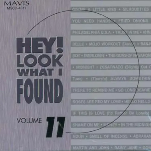 Hey!Look What I Found, Vol. 11 Next Day Delivery