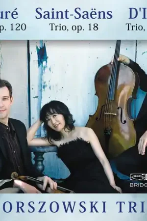 Horszowski Trio Plays Saint-Saens Faure & D'indy Hot Deal