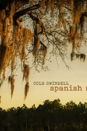 Clearance Spanish Moss