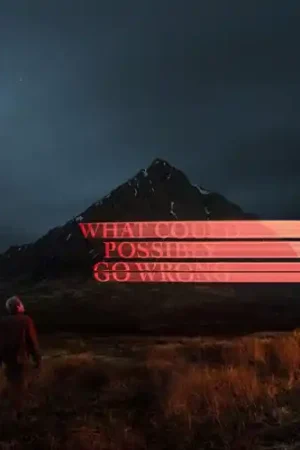 What Could Possibly Go Wrong Grab Now