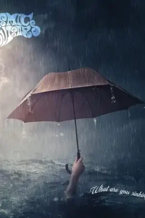 What Are You Sinking About (Uk) Free Delivery