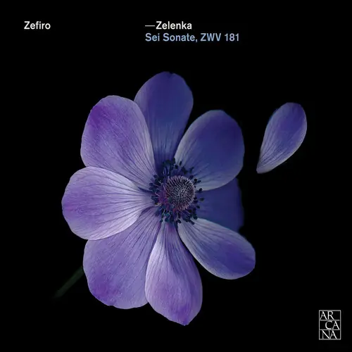 Hot Deal Jan Dismas Zelenka: Sei Sonate Zwv 181