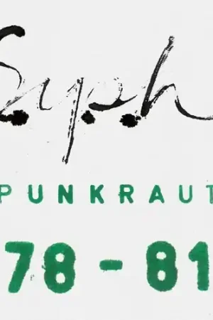 Direct From Manufacturer Punkraut 1978-1981