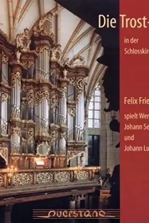 Die Trosorgel in der Schlosskirche Altenburg Factory Price