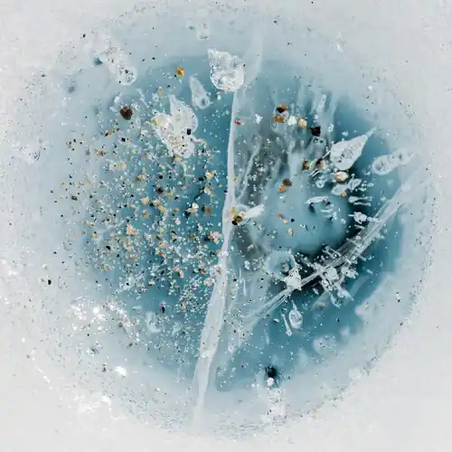 Editor’s Pick Snow From Yesterday