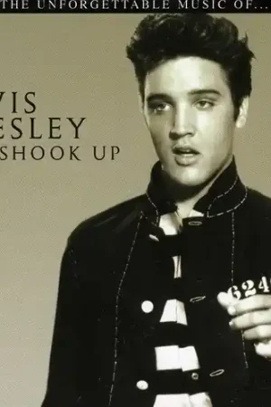 Special Offer All Shook Up