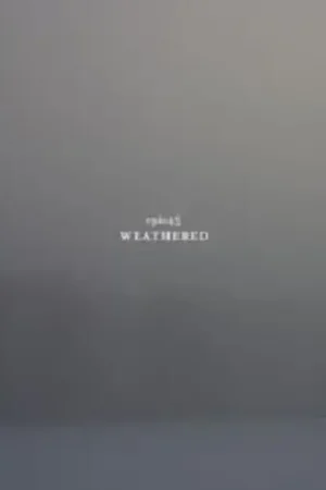 Weathered Buy Online