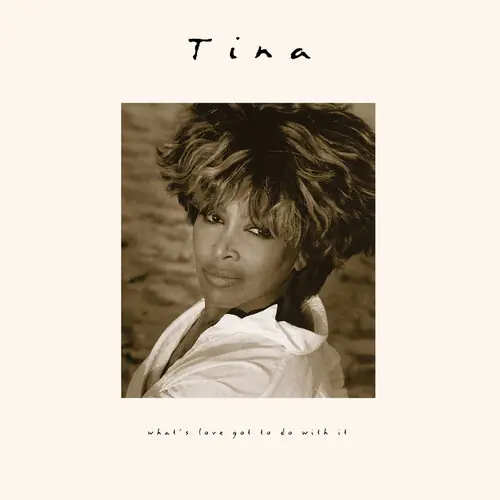 Bulk Order What's Love Got To Do With It (30th Anniversary)