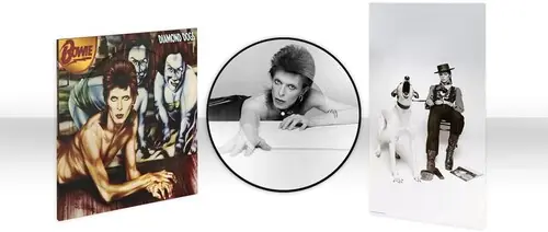 Diamond Dogs (50th Anniversary Picture Disc) Editor’s Pick