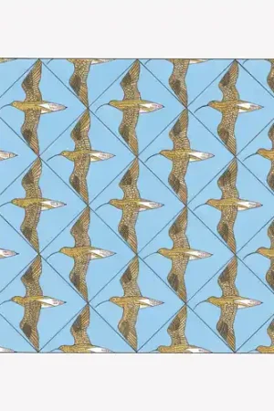 Factory Price Simmerdim: Curlew Sounds