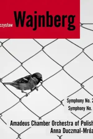Symphonies 2 & 7 Markdown