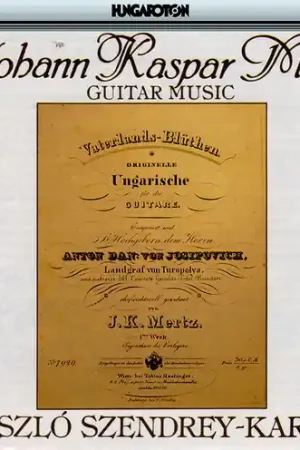 Budget Guitar Music