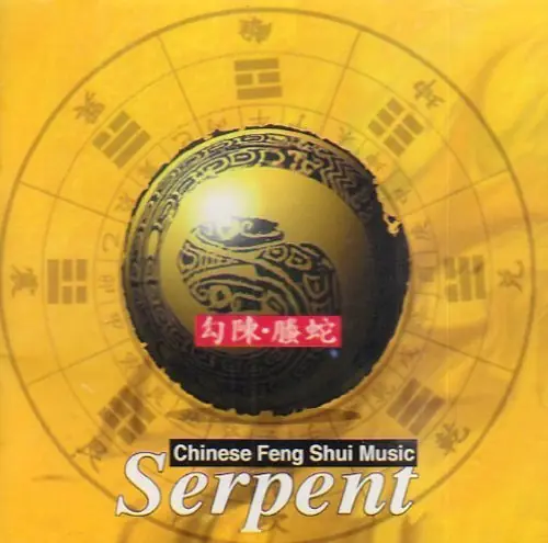Serpent-Chinese Feng Shui Musi Shop Now
