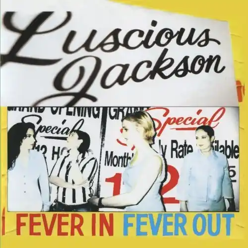 Fever In Fever Out Budget