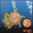 Submerge Modern
