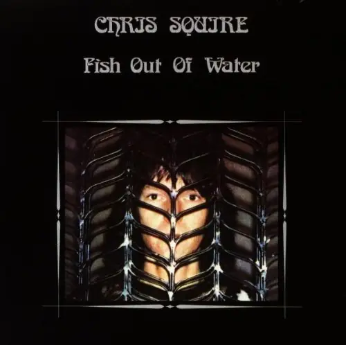Fish Out Of Water Special Discount