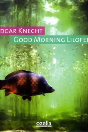 Edgar Knecht - Good Morning Lilofee (LP) Don’t Miss Out