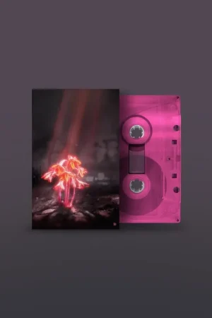 Viral Enter Shikari - A Kiss For the Whole World (LP)
