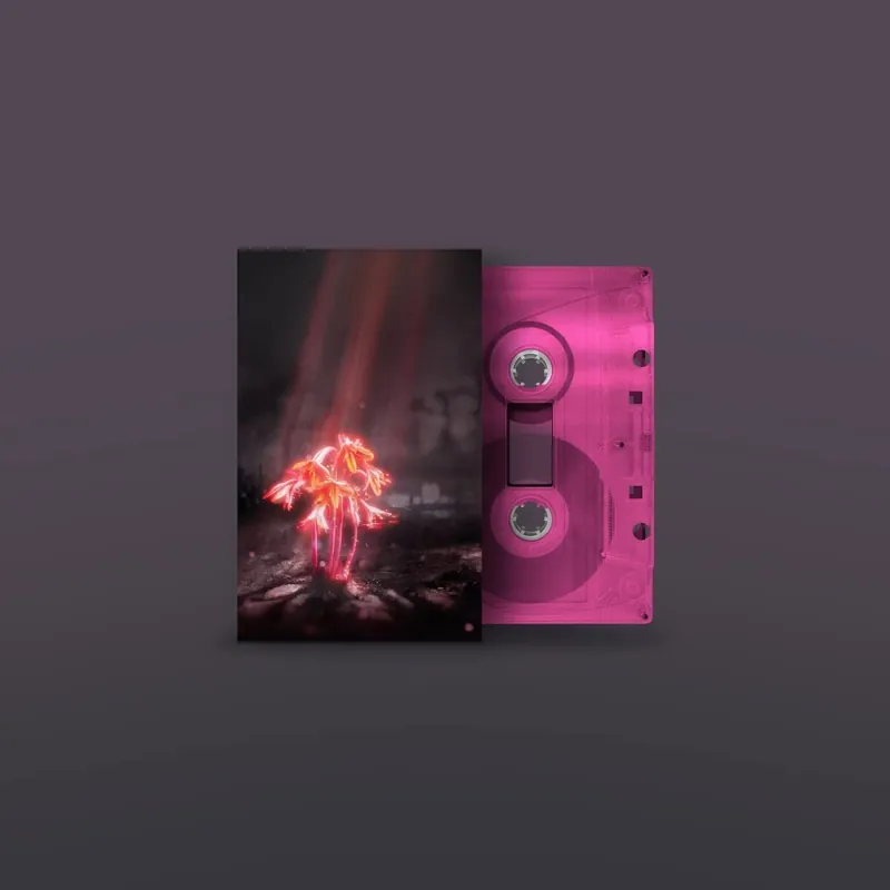 Viral Enter Shikari - A Kiss For the Whole World (LP)