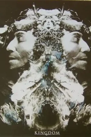 Kingdom - Kingdom (LP) Original