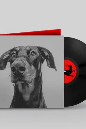 Today Only Big Special - Postindustrial Hometown Blues (LP)